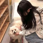 17bt游戏盒子下载